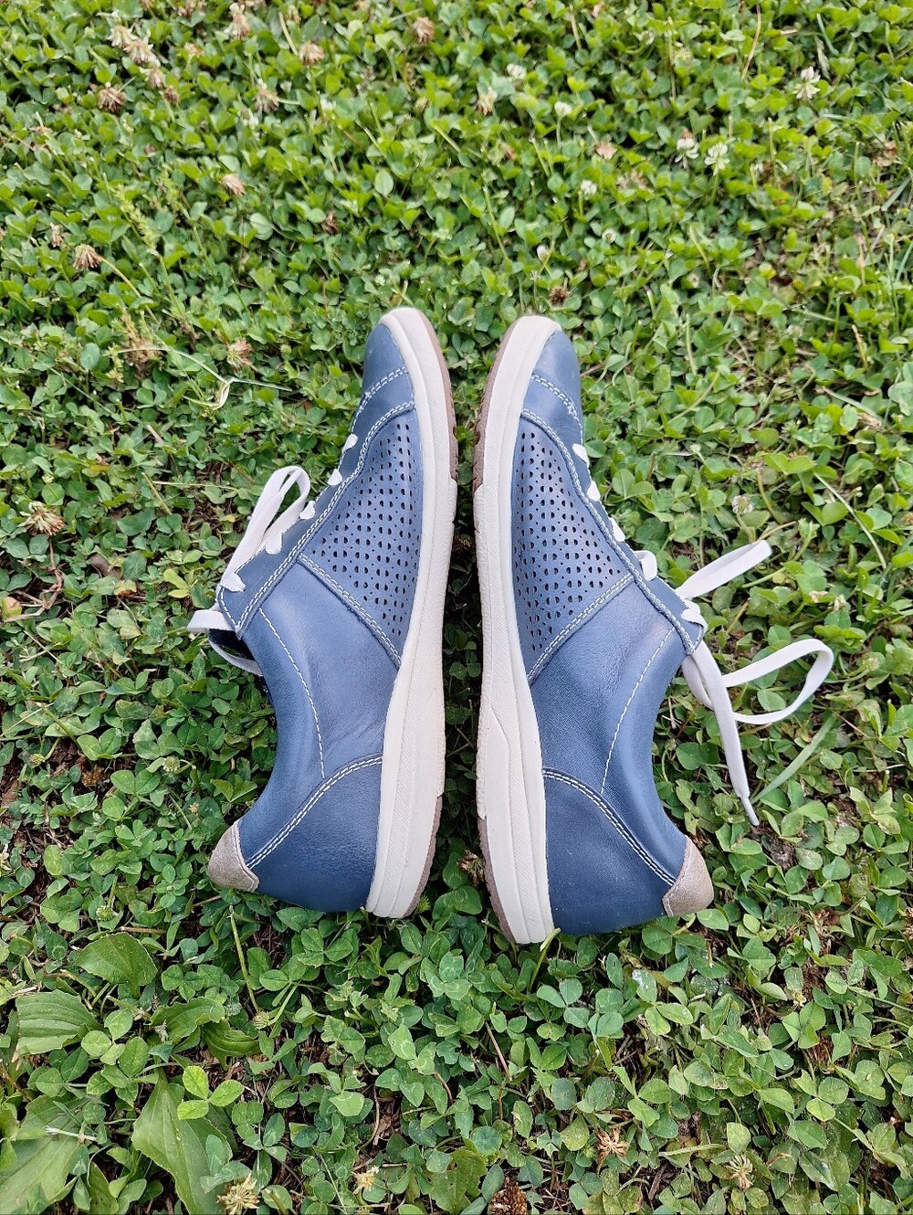 Earth Origins Blue Leather Lace-Up Sneakers with Side Zip - Picture 6 of 12